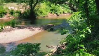 Atlanta yellow river in the heart of nature #shorts