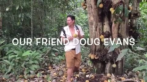 Fruit Hunters Finally Find Rarest Durian In The World!