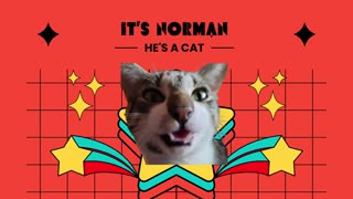 It's Norman