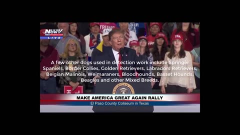 Trump Praises German Shepherd