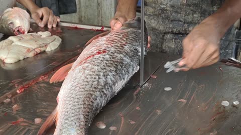 Rohu Fish Cutting By Machine In Fish Market l Amazing Fish Cutting Skills