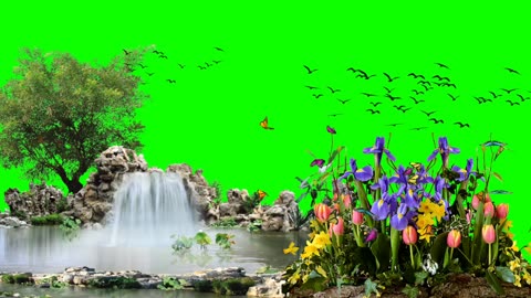 Tree Flower 🌼 Water And Brid Flying Green Effects Nature Background