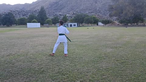 A20 - Shariff Baadjies - Green - Pinan Nidan