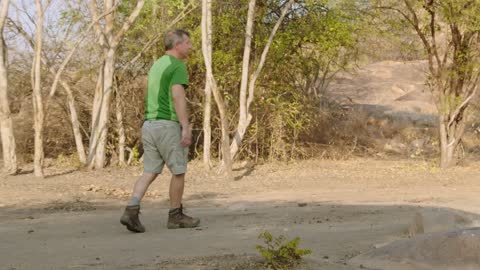 SLOTH BEAR STANDOFF!!