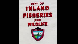 Maine Day 4 - Travel Day