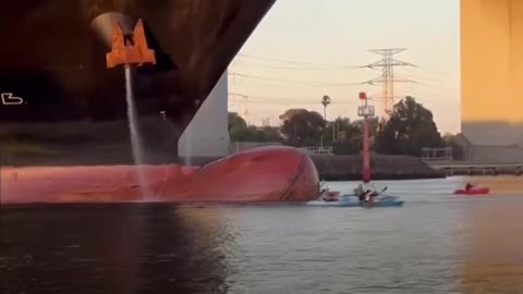 Supporters of Palestine Confront Cargo Ship Linked to Israel in Protest