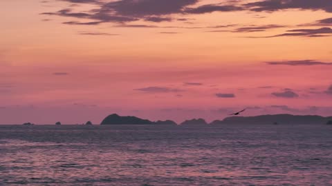 Seabird flying over water