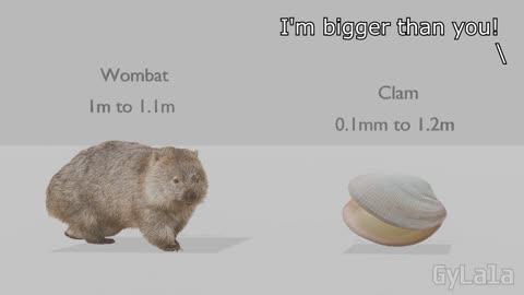 I'M BIGGER THAN YOU (Animal)