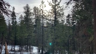 Sunrise Peaking Between the Trees – Bandit Springs Sno-Park – Central Oregon – 4K