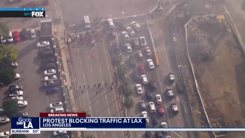 'This Is Terrorism, Not Protesting': Pro-Hamas Mobs Block Roads Near JFK, LAX Airports