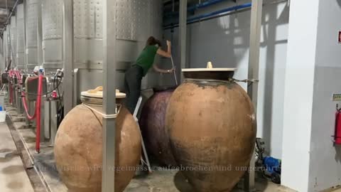 Das Weingut Herdade da Cardeira von Erika Suter und Thomas Meier macht auch Amphorenwein.