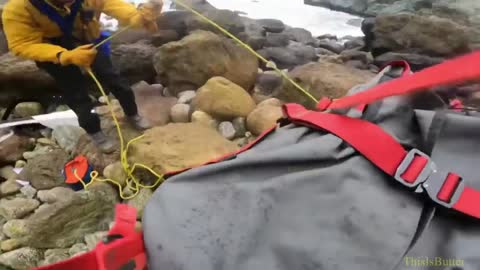 4 alive in 'miracle' after Tesla plunges 250 feet off cliff at Devil's Slide