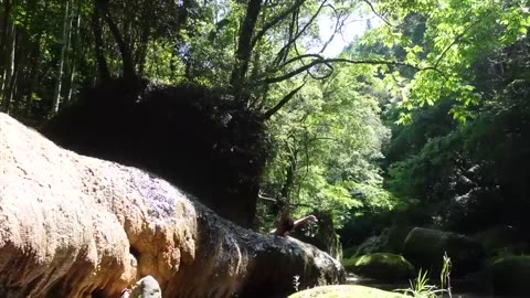 Bamboo Grove Hot Spring