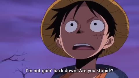 One Piece Funny Moment