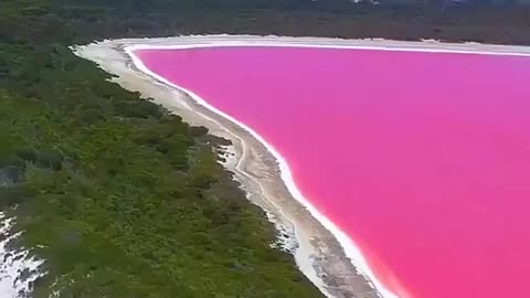 Lake Hillier a.k.a "Pink Lake", Middle Island, Australia
