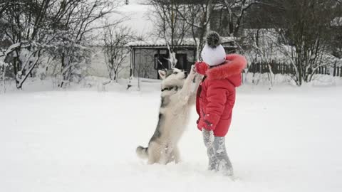 Young girl playing with siberian husky malamute dog on the snow outdoors in winter forest park