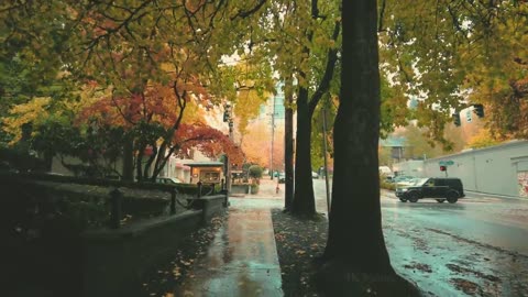 Portland Rain Walk Peak Autumn Northwest District Binaural Audio