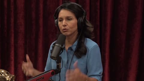 Tulsi Gabbard: The Democratic Party Leadership No Longer Believes in Truth.