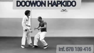 Hapkido