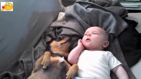 LOVELY PUPPY STAY BESIDE MY BABY