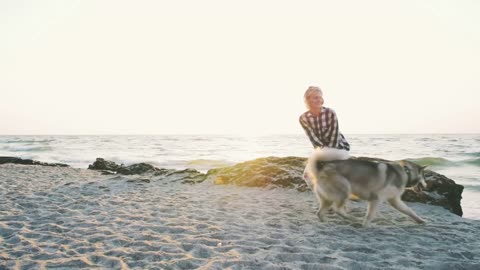 Young female playing with siberian husky dog on the beach at sunrise