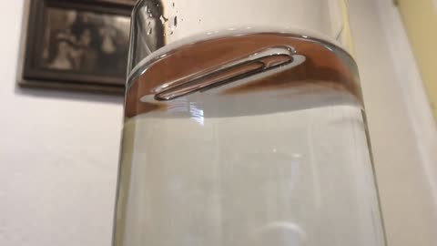 Floating Paper Clip (Surface tension) Experiment