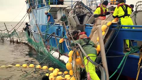 Careers in the Australian Southern Bluefin Tuna Industry