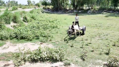 Life Of Poor Village Farmers India Up [] Uttar Pradesh Rural Life [] Rural Life India