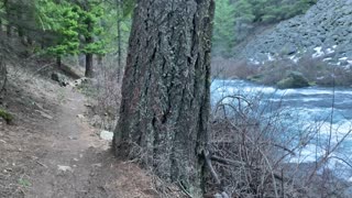 The World Famous Metolius River National Recreation Area – Central Oregon – 4K