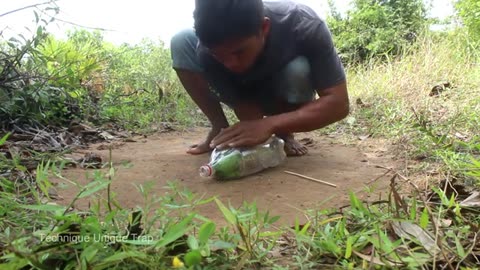 Easy Bird Trap - Simple Unique Parrot Trap Using Plastic Bottles