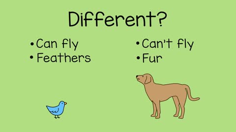 Comparing Animals