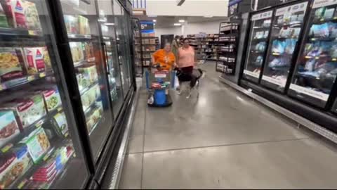 Fake Service Dog off leash in Walmart