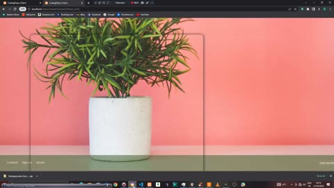 Awesome Garden With HTML and CSS - CodingDrips