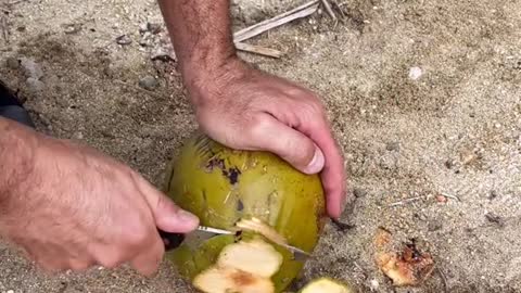 Opening up a coconut 🥥 ##coconuts