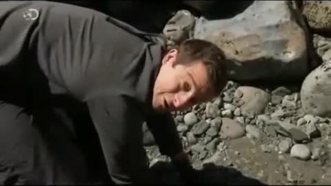 Comment pêcher une anguille grâce à une technique des Maoris #manvswild #survivaltips