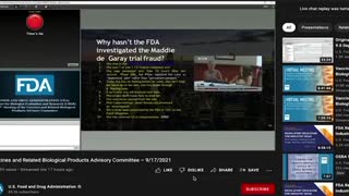 FDA Meeting Steve Kirsch the Covid vaccines killing more people than they save