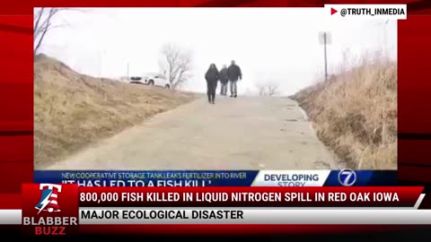 800,000 Fish Killed In Liquid Nitrogen Spill In Red Oak Iowa