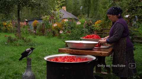 Farm to Table Crafting Homemade Bell Pepper Paste from Garden Fresh Peppers