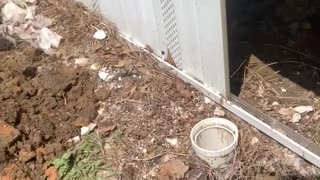 Sewer issues