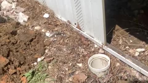 Sewer issues