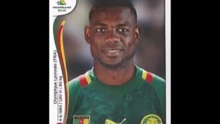 PANINI STICKERS CAMEROON TEAM WORLD CUP 2014