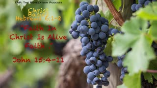 Christ Basics: 3. Faith In Christ Is Alive Faith