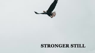 Pray USA, 1/10/23 Stronger Still