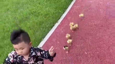 cute baby playing with chicks #funny video