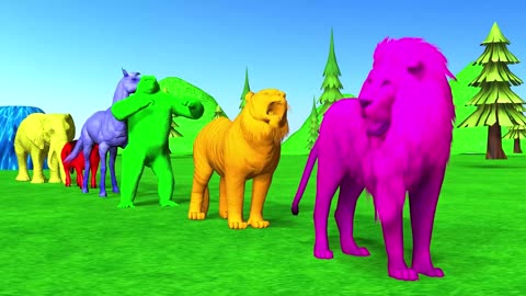 Paint And Animals 🦁 Lion, 🐯Tiger, 🦍Gorilla, 🐴Horse , 🐮Cow,🐘 Elephant, Fountain Crossing Animal
