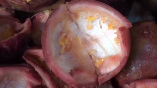 Passion fruit juice extraction