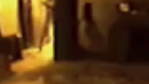 Footage of an alien humanoid was captured