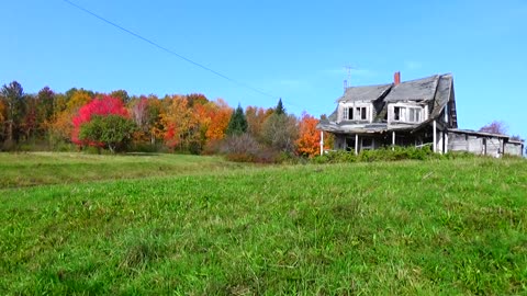 Fall Foliage