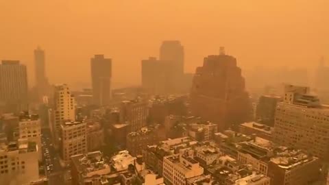 THE SODOMITES AND LIBTARDS ARE CHOKING IN NYC. THE GOVERNMENT SAYS THE AIR IS SAFE TO BREATHE.