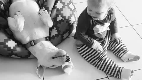 Baby and Bull Terrier share incredibly precious moment